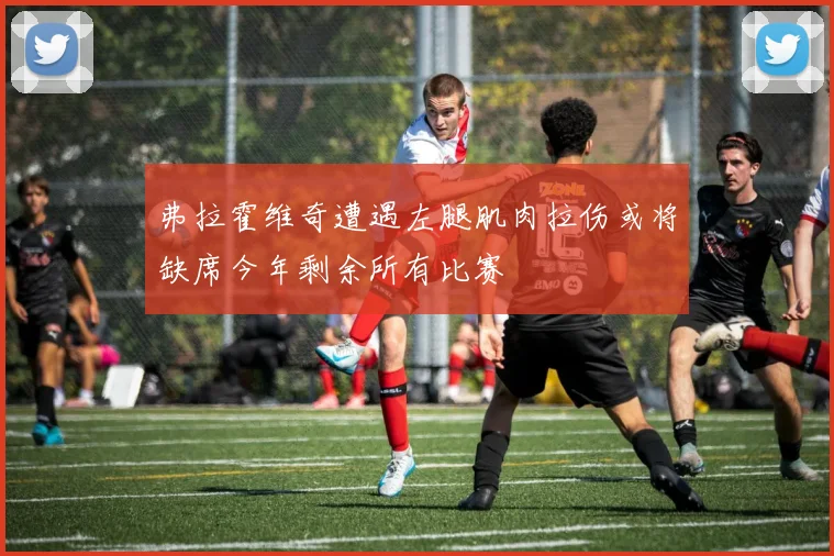 弗拉霍维奇遭遇左腿肌肉拉伤或将缺席今年剩余所有比赛