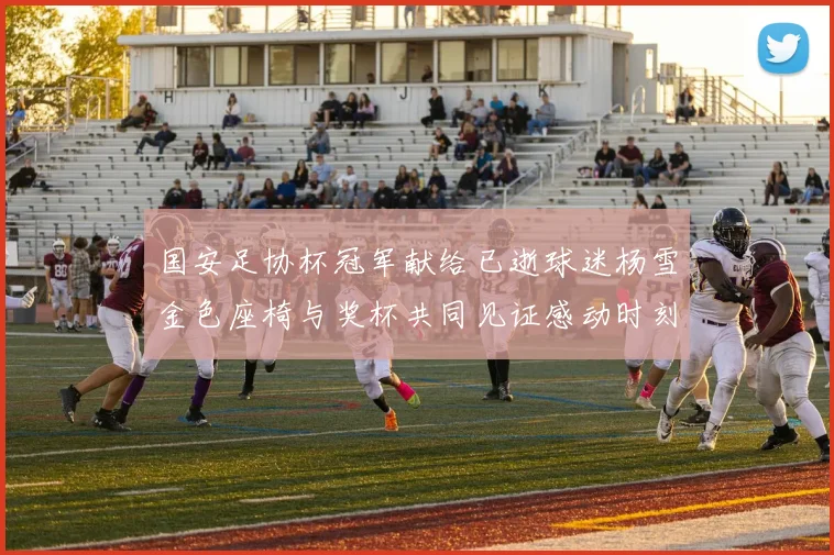 国安足协杯冠军献给已逝球迷杨雪金色座椅与奖杯共同见证感动时刻